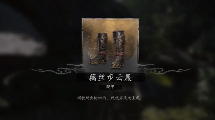 图片6