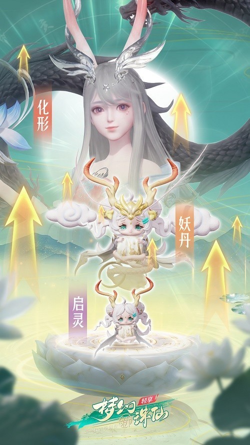 图片5