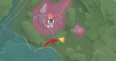 图片6