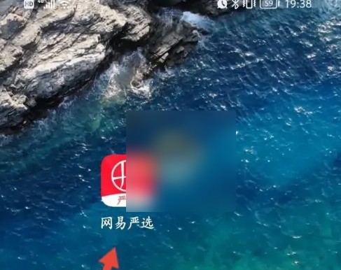 图片3