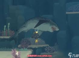 图片3