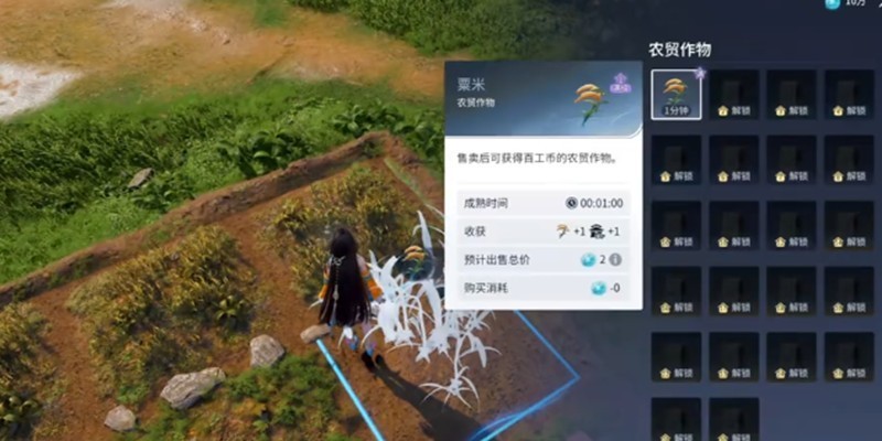 图片4