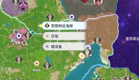 图片4