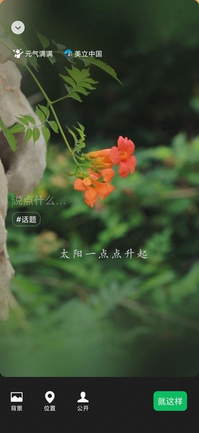 图片10