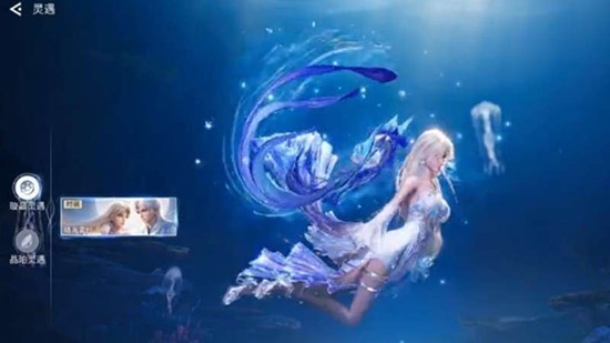 图片6