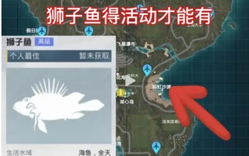 图片3