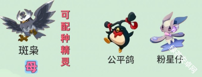 图片6