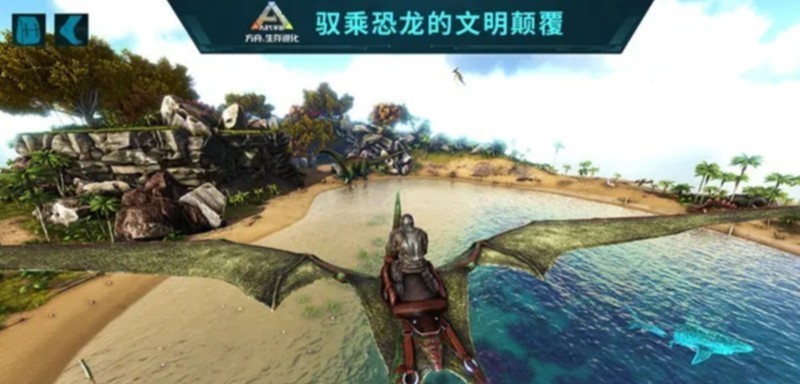 图片5