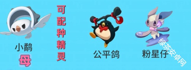 图片7