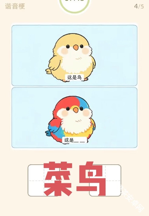图片50