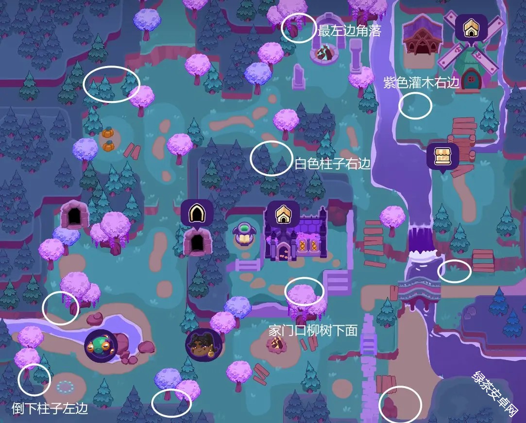 图片6