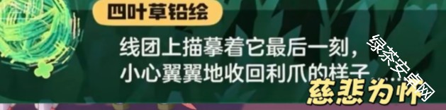 图片6