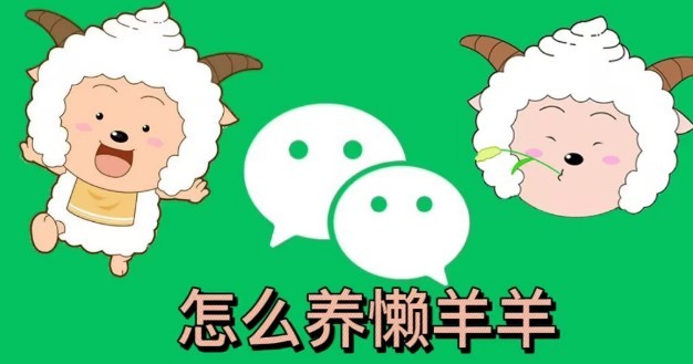 微信懒羊羊状态设置方法