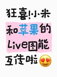 图片3