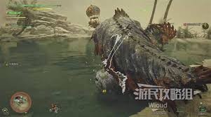 图片3