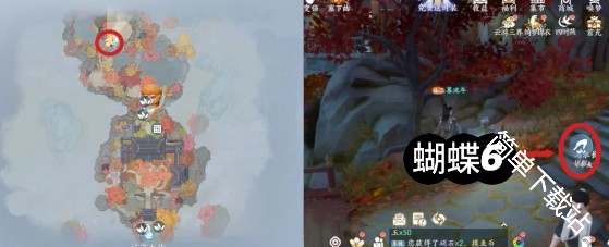 图片19